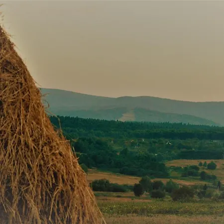 Family House Truskavets Villa *
