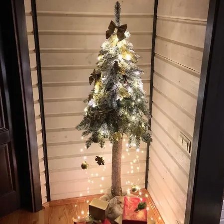 Family House Truskavets Vila *