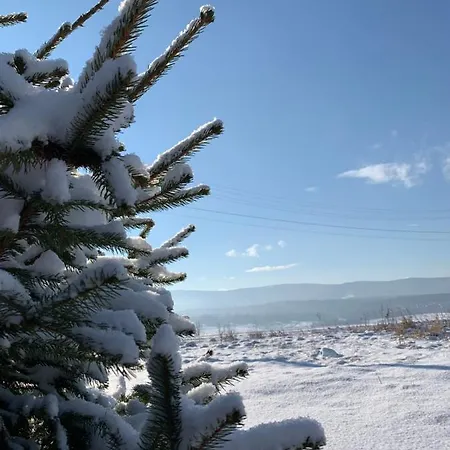 Villa Family House Truskavets *