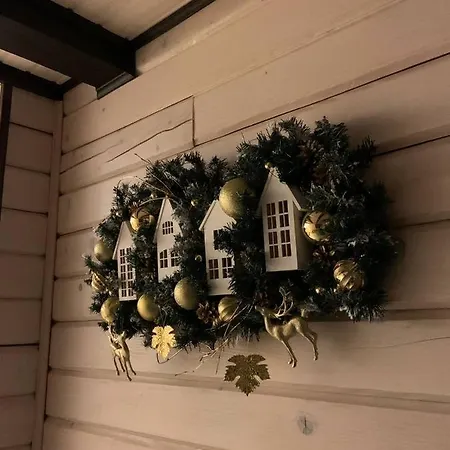 Family House Truskavets Vila